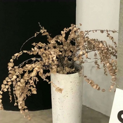 大荔福瑞交流群